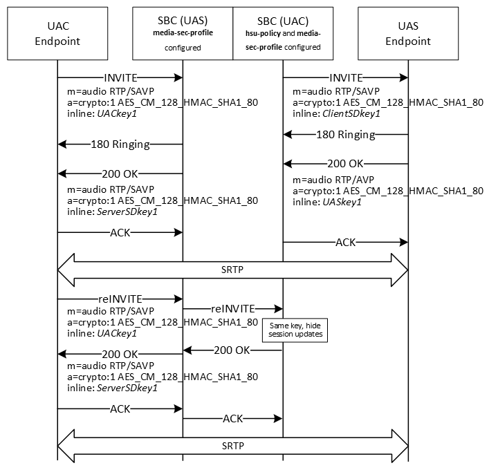 The image shows hiding session updates for back-to-back SRTP termination.