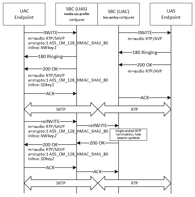 The image shows hiding session updates for single-ended SRTP termination.
