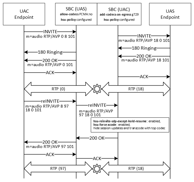 The image shows hiding session updates and enforcing transcoding with the first codec.