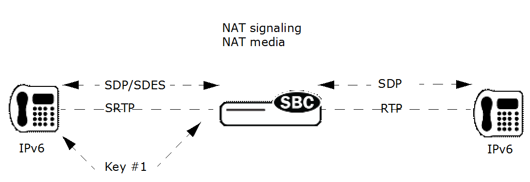 This image shows the SRTP IPv6 endpoints with RTP (unencrypted) IPv6 endpoints.