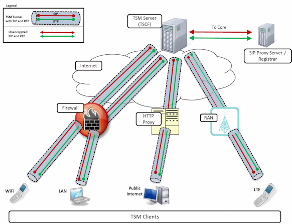 TSM /TSCF Topologies