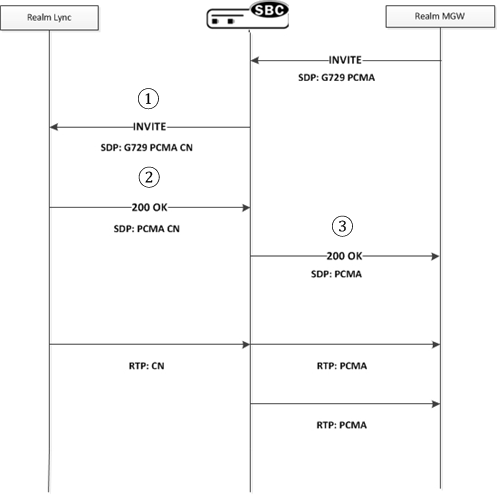 The Case 1 CN generation SPL call flow is described below.