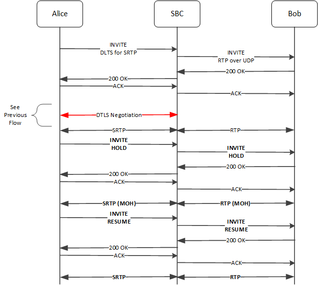 This image shows the system supporting a call with DTLS-SRTP with music on hold.