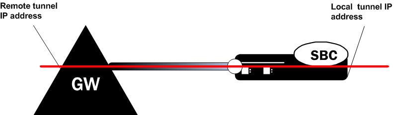 IPSec tunnel with local and remote IP address