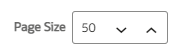 This screenshot shows the Page Size field to set the number of table entries per page.