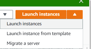 Launch Instances menu option