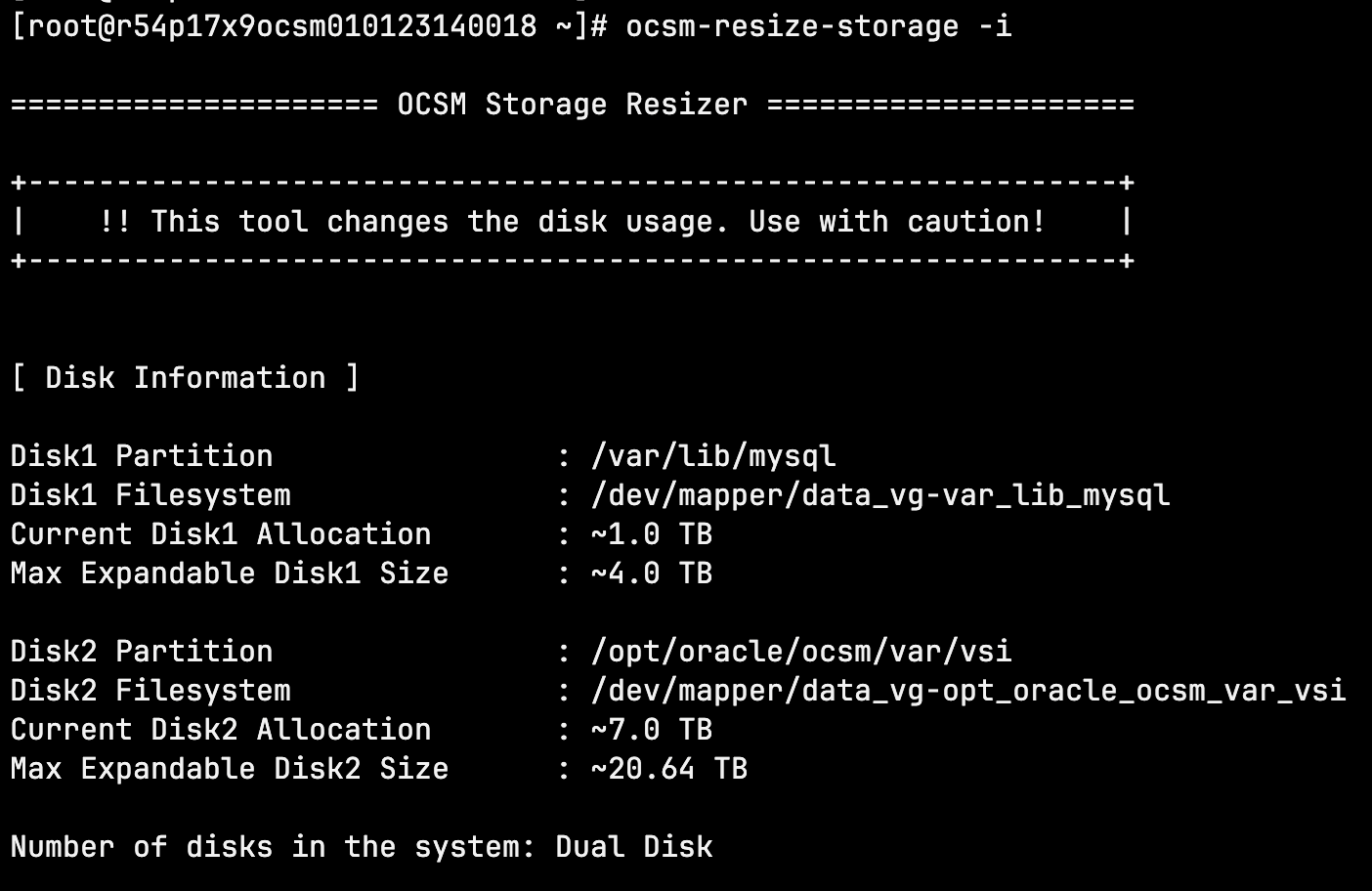 Example output of the --info option on a Dual Disk system