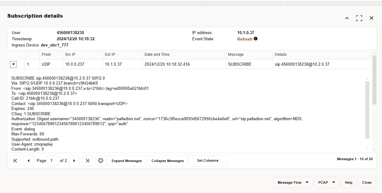 Subscription Details Window with One Expanded Raw Message