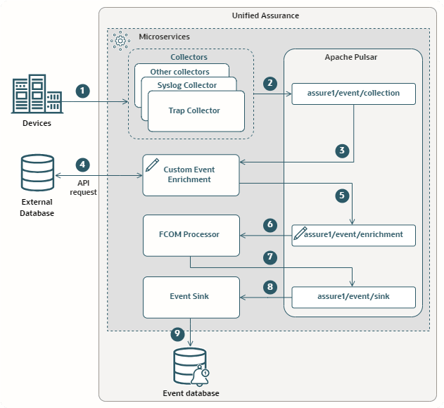 Custom Event Enrichment Microservice