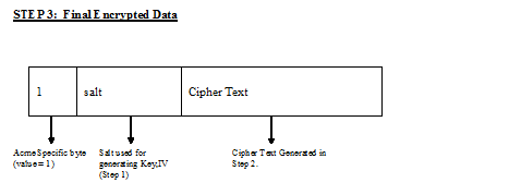 This image depicts the outputs generated for encrypted data.