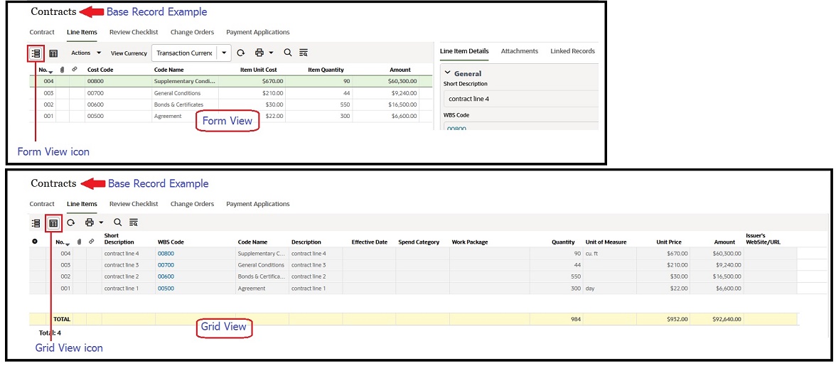 This image displays the difference between the form view and grid view of line items within a record.