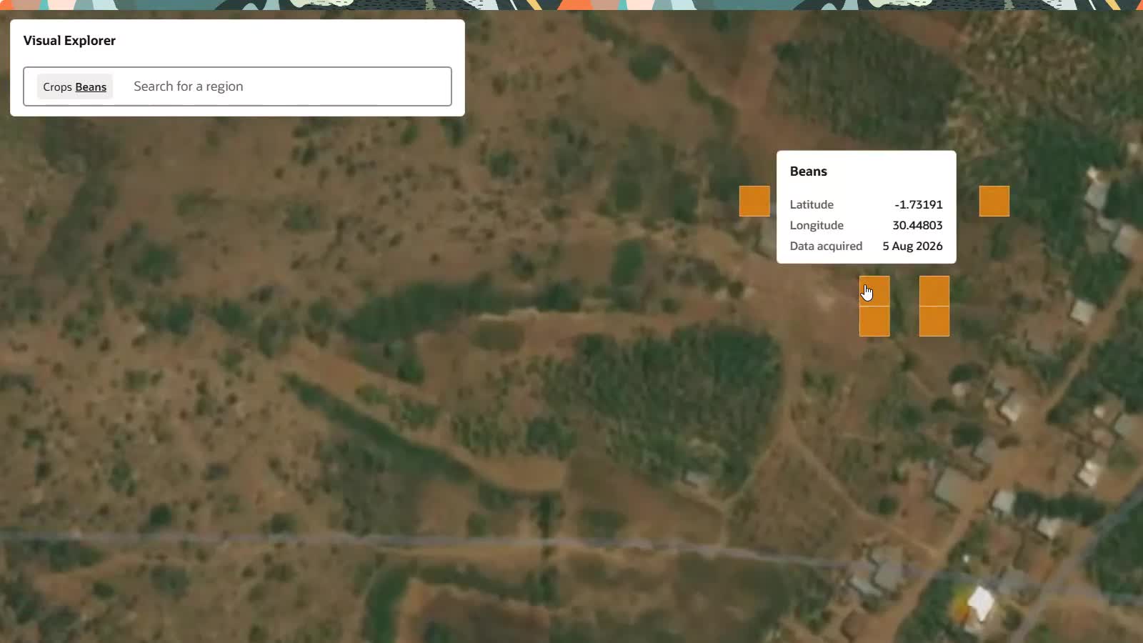 Crop Detection shown at a detailed map level