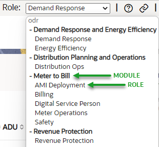 Using modules and roles