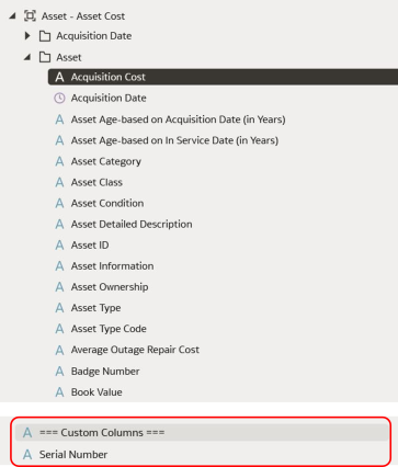Screenshot showing the Custom Columns section of a dimension in Analytics Visualization.