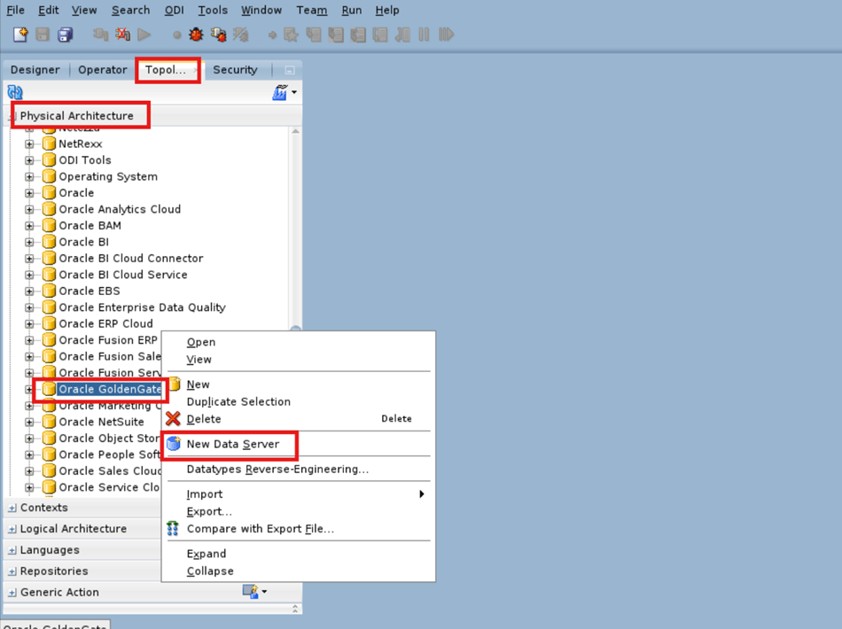 Create a physical GoldenGate data server.