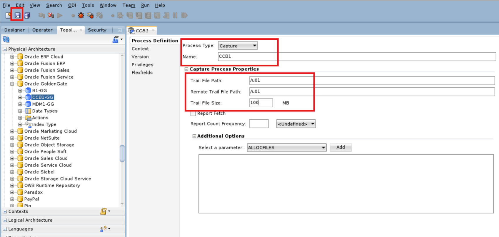 Enter the process definition for the GoldenGate physical schema.