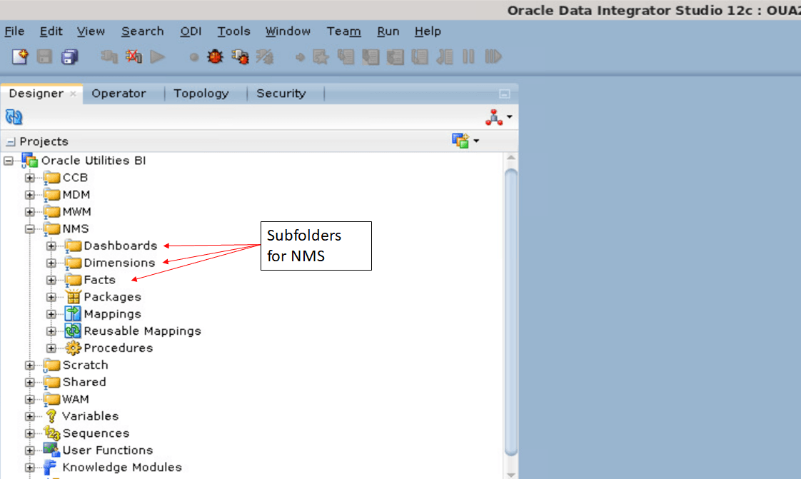 Subfolders for NMS are: Dashboards, Dimensions, and Facts. See NMS folder under Oracle Utilities BI option in the Designer tab of Oracle Data Integrator Studio.