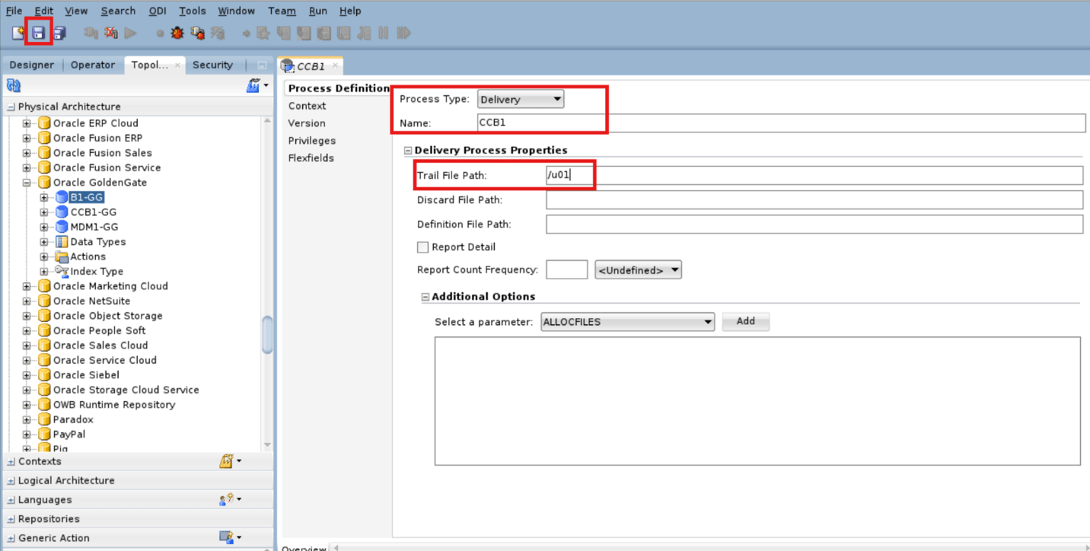 Physical Schema (Oracle GoldenGate) Target Process Definition Details