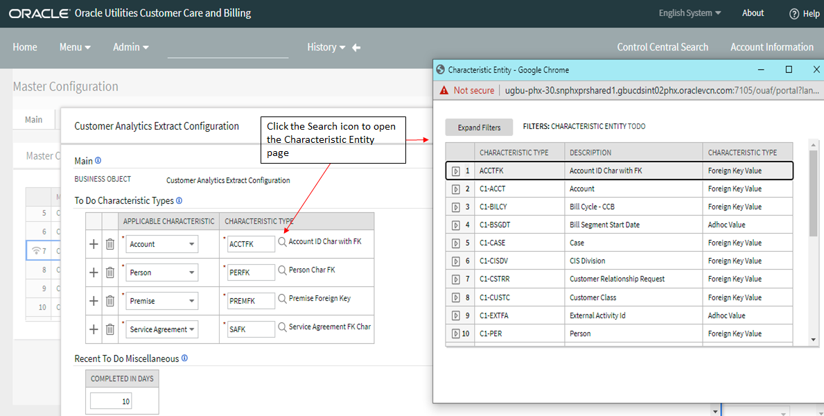 Characteristic Entity window that is displayed when the user clicks the search icon in the second column of the To Do Characteristic Types table.