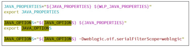 Console screenshot where JAVA_OPTIONS appers selected.