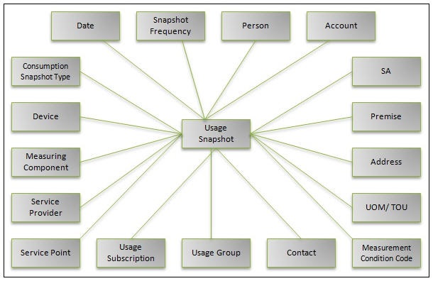 Entity Relationship diagram of the Usage Snapshot fact.