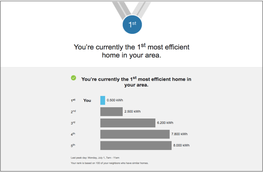Example image of Neighbor Rank Summer experience post-event email
