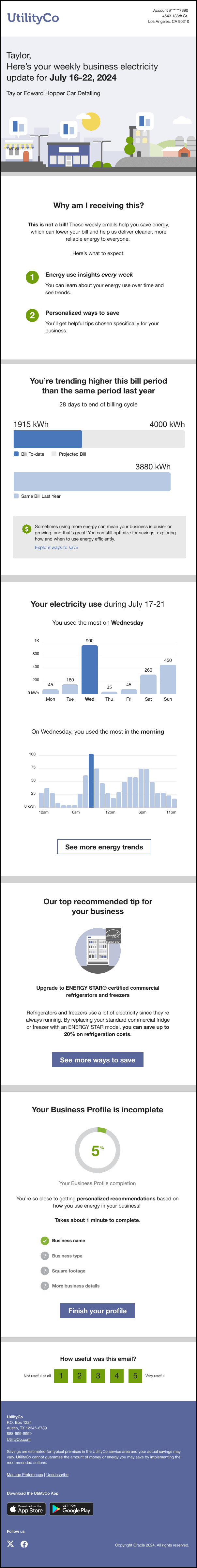 This image shows an example of the email.