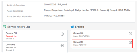 Entered pane showing both the completed and the pending service histories.