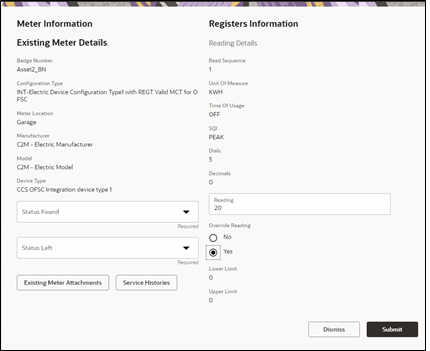 Meter Details page. Override Reading option is set to Yes.