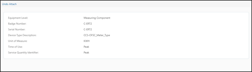 Undo Attach section, where the equipment information is displayed.