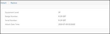 Detach Replace section, in which the equipment’s information is displayed.