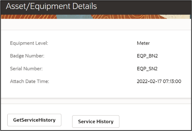 Asset Equipment Details page.