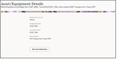 Asset Equipment Details page.