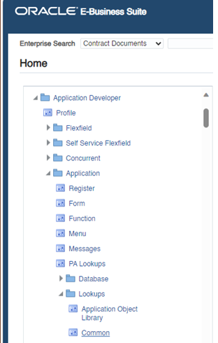 Shows selecting a user having access to the Application Developer responsibility.