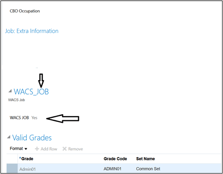 WACS_JOB section under Job: Extra Information. WACS_JOB section under Job: Extra Information.
