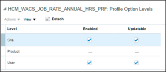 Profile Option Levels detail showing Site and User options as Enabled and Updatable. Profile Option Levels detail showing Site and User options as Enabled and Updatable.
