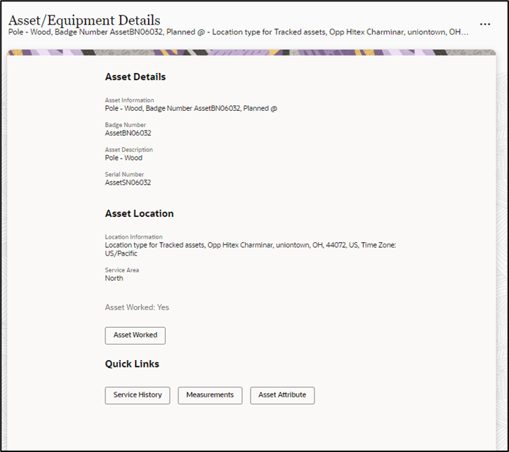 Asset Equipment Details page showing the asset details and location.