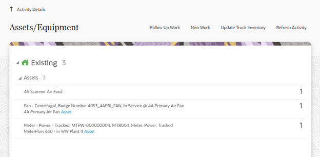 Assets Equipment page detail showing the existing asset.