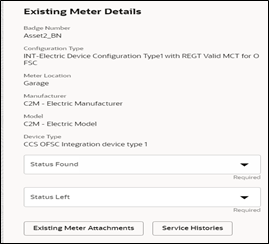 Existing Meter Details section. Existing Meter Details section.