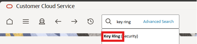 Shows Key Ring in the search results.