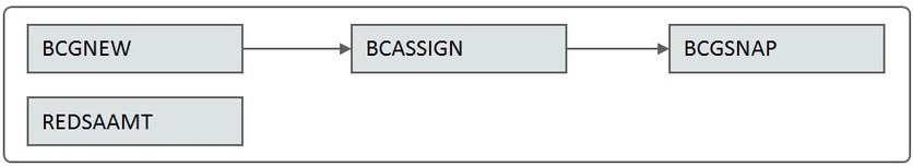 BCGNEW、BCASSIGN、BCGSNAP 與 REDSAAMT 背景處理必須至少每月執行一次，或依業務需求執行。