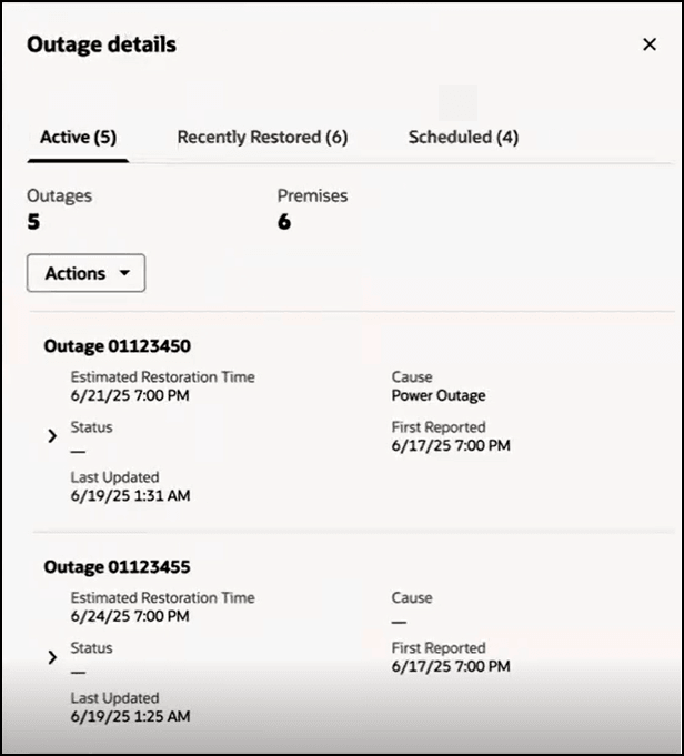 This image shows an example of the Outage details drawer.