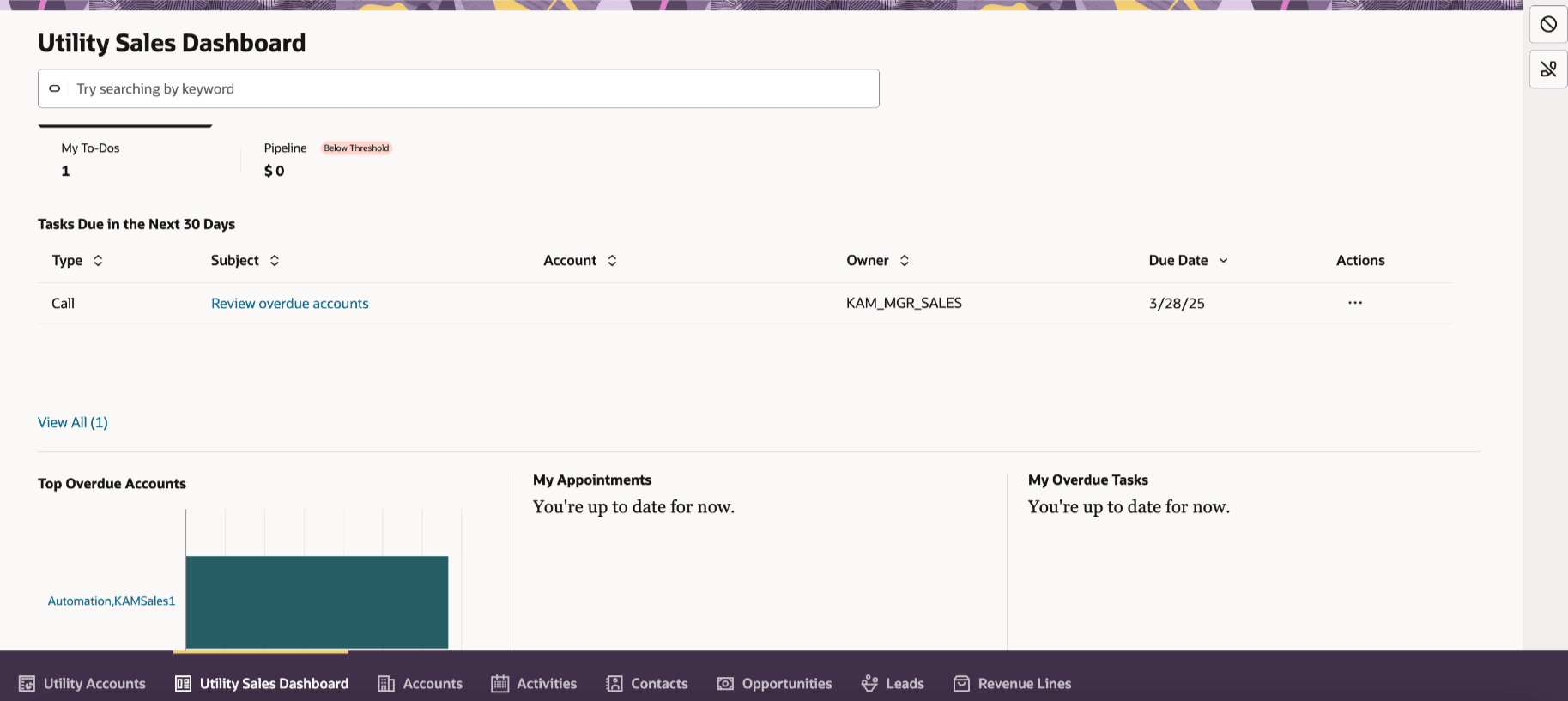 This image shows an example of the Utility Sales Dashboard.