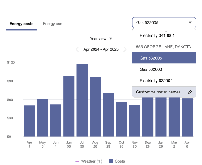 Example screenshot of the Data Browser with the Energy Costs chart open and the meter selector menu open, showing available electricity and gas meters, and an option to customize meter names. Example screenshot of the Data Browser with the Energy Costs chart open and the meter selector menu open, showing available electricity and gas meters, and an option to customize meter names.