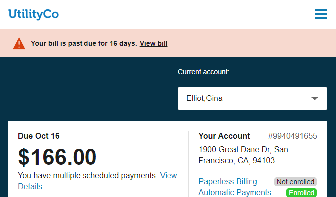 Overview Dashboard which includes an alert at the top for the customer account