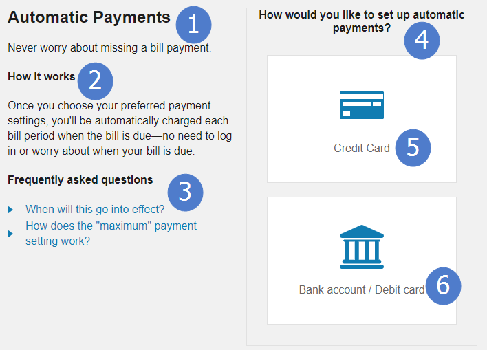 Automatic payment plan details and payment options, along with feature configuration options.