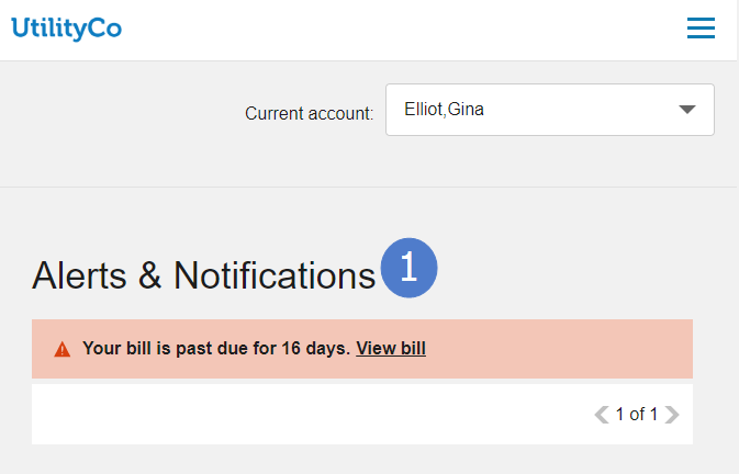 Image of Alerts and notifications section on a customer's account