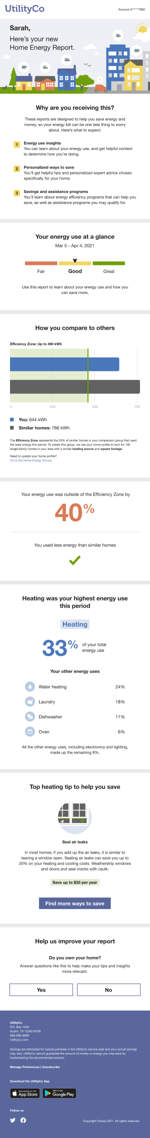 Image of a Limited Income Report for a new customer