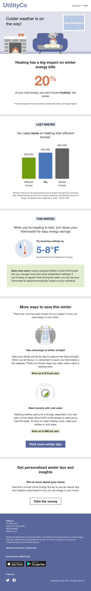Image of a winter seasonal report