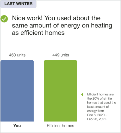 Winter Seasonal Report Normative Comparison for a dual fuel customer
